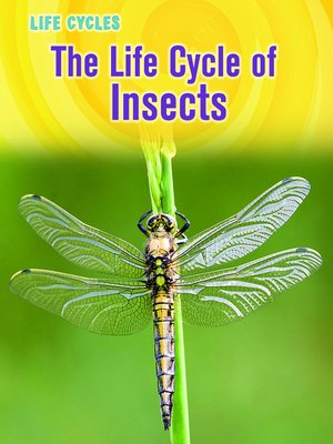 cover image of The Life Cycle of Insects